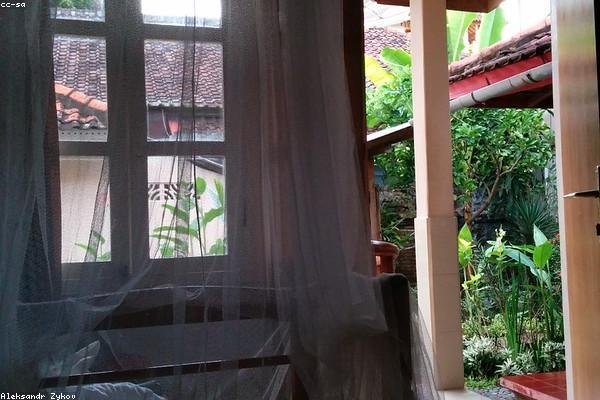 Warm guesthouse room with timber accents and a shaded outdoor seating area