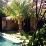 Family villa with a private plunge pool and open living pavilion