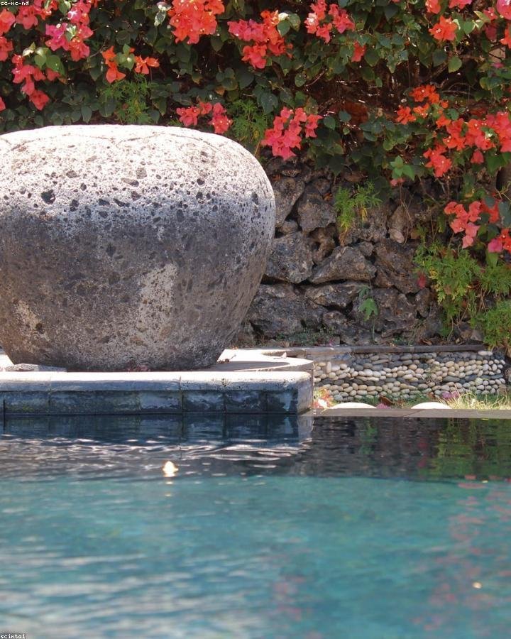 Private villa with a turquoise plunge pool surrounded by tropical planting in Bali